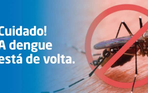 Cuidado! A dengue está de volta.